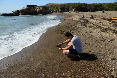 DSC_2556 (Large).JPG